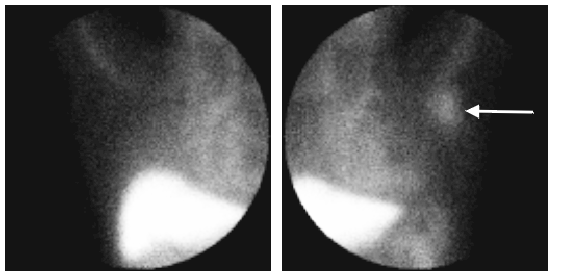 Image12.gif (50010 bytes)