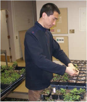 Bin zhang