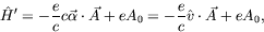 \begin{displaymath}
\hat{H}^\prime = -\frac{e}{c} c\vec{\alpha}\cdot\vec{A} + eA_0
= -\frac{e}{c}\hat{v}\cdot\vec{A} + eA_0 ,
\end{displaymath}