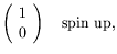 $\displaystyle \left(\begin{array}{c} 1 \\  0 \end{array}\right)
\quad\textrm{spin up} ,$