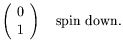 $\displaystyle \left(\begin{array}{c} 0 \\  1 \end{array}\right)
\quad\textrm{spin down} .$