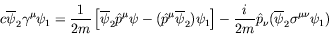 \begin{displaymath}
c\overline{\psi}_2\gamma^\mu\psi_1 = \frac{1}{2m}
\left[\ove...
...c{i}{2m}
\hat{p}_\nu (\overline{\psi}_2\sigma^{\mu\nu}\psi_1)
\end{displaymath}