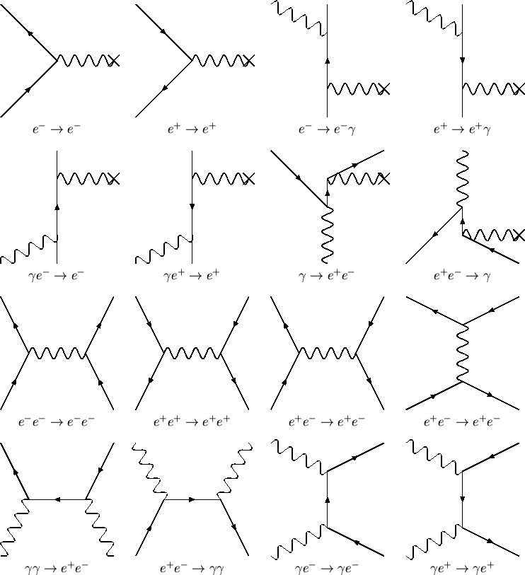 \begin{figure}\begin{center}
\begin{picture}(465,520)(0,-20)
\SetWidth{0.75}
% p...
...\rightarrow e^+\gamma$}
\end{picture}}
\par\end{picture}\end{center}\end{figure}