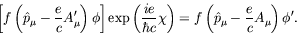 \begin{displaymath}
\left[ f\left(\hat{p}_\mu -\frac{e}{c}A_\mu^\prime\right)\ph...
...t) = f\left(\hat{p}_\mu
-\frac{e}{c} A_\mu\right)\phi^\prime .
\end{displaymath}