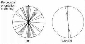 orientation matching results