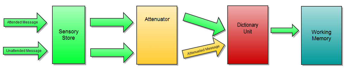 Treisman’s Attenuation Model