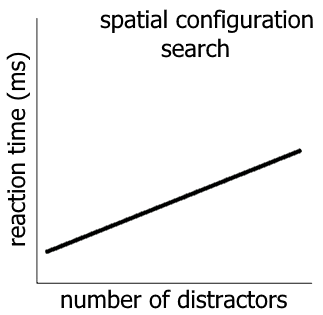 spatial configuration search