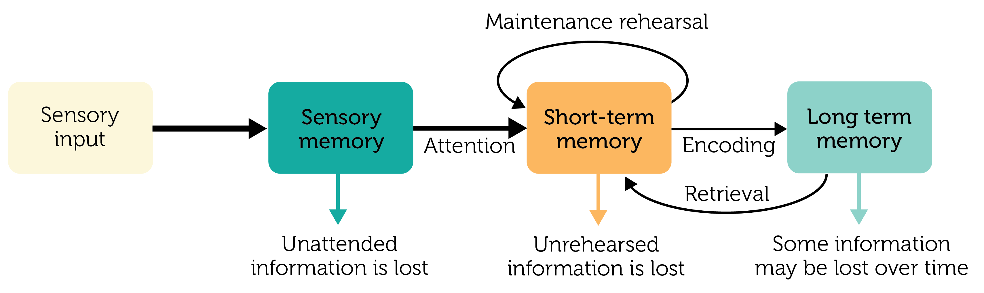 Modal Model