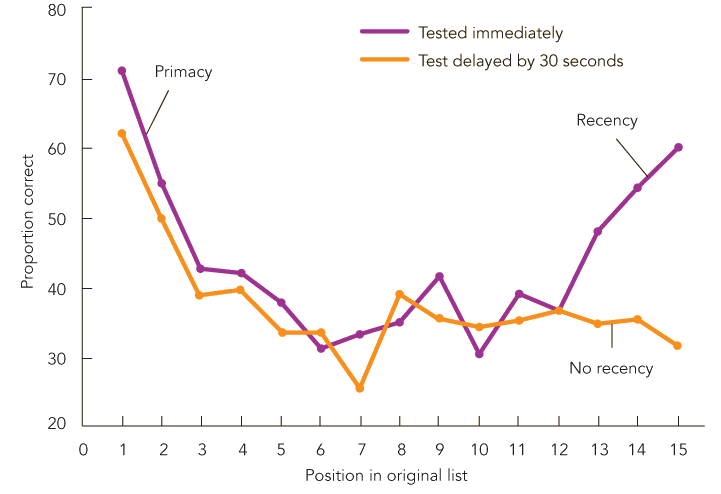 serial position curve