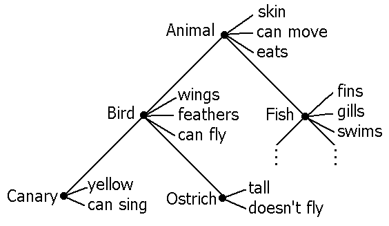 Hierarchical-Network model