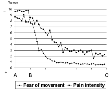 Vlaeyen et al. (2002)