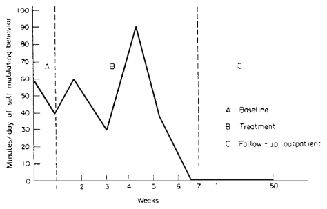 Kaminer & Shahar (1987)