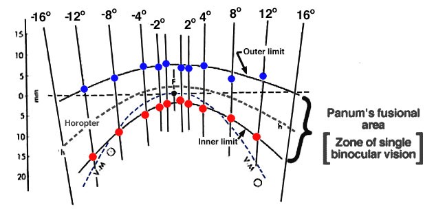Panum&rsquo;s Fusional Area