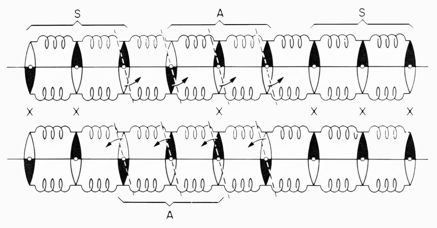spring-coupled magnetic dipole model