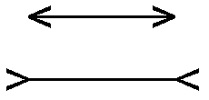 Mueller-Lyer illusion