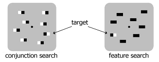 feature vs. conjunction search
