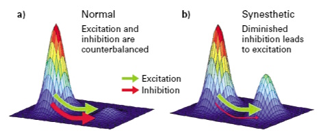 disinhibited feedback