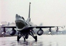 shark-plane