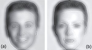 Dr. Angry and Mr. Smile