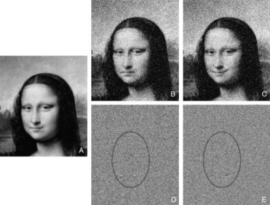 Mona Lisa (with noise)