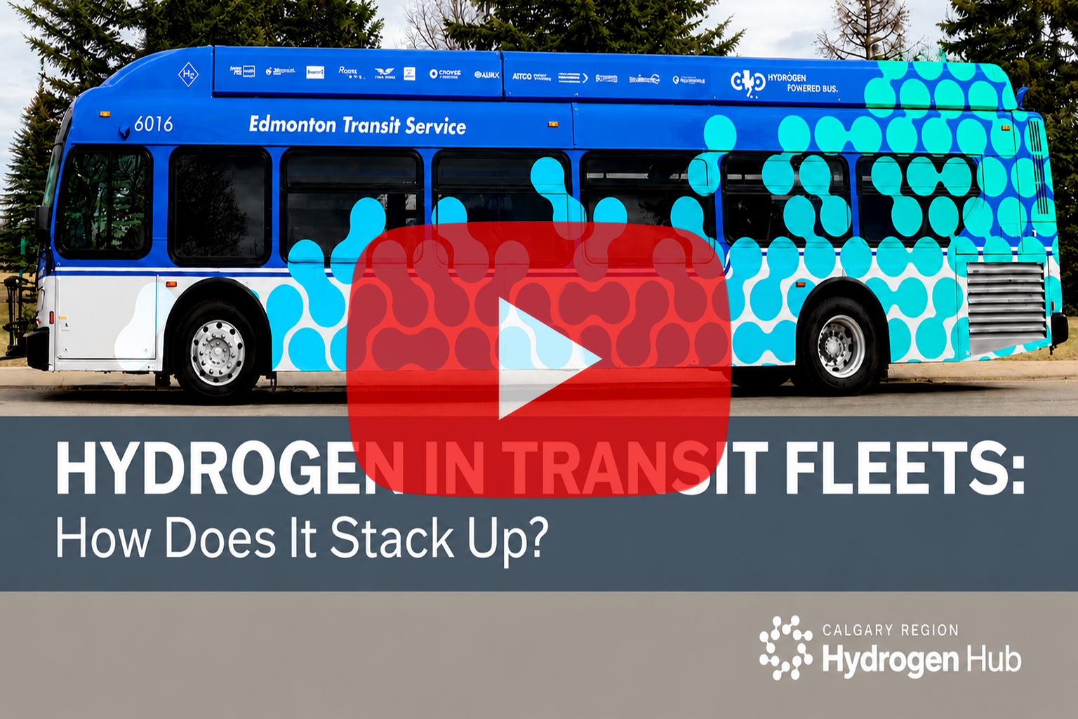 Hydrogen in Transit Fleets