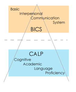 BICS CALP