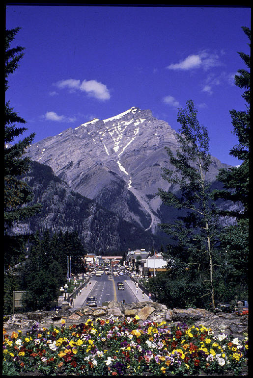 Banff Avenue