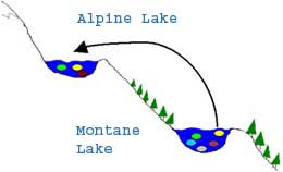 Montane species from lower lakes migrate upwards to alpine lakes as temperatures warm