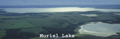 Muriel Lake, Alberta