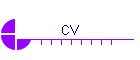 CV