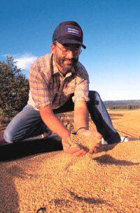 Why Is It Worth Encouraging Older Adults to Be Active? - farmer reviewing grain
