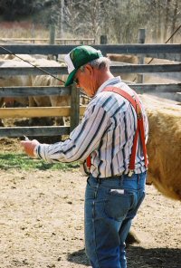 Reaching Older Adults - farmer with cows