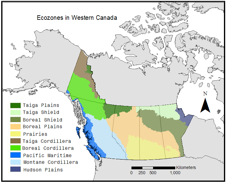 Перечислите природные зоны канады. Климат Канады карта. Карта климатических зон Канады. Температурная карта Канады. Климатическая карта Канады.
