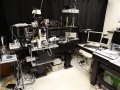 fluorescence microscope setup