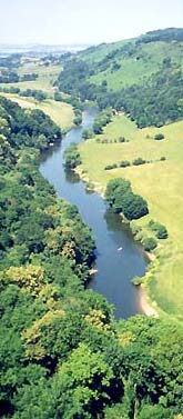 River Wye from Symond's Yat