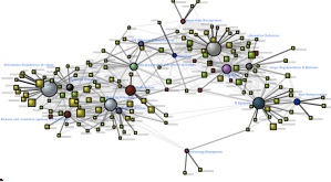 Thumbnail of knowledge base map (Information Science 2006-2010)