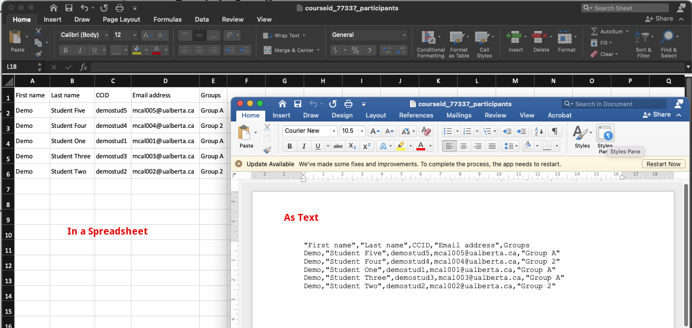 A comma separated values file represented as both text and in an Excel spreadsheet.