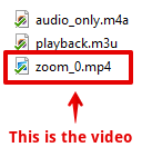 The downloaded files, pointing to the .mp4 video.