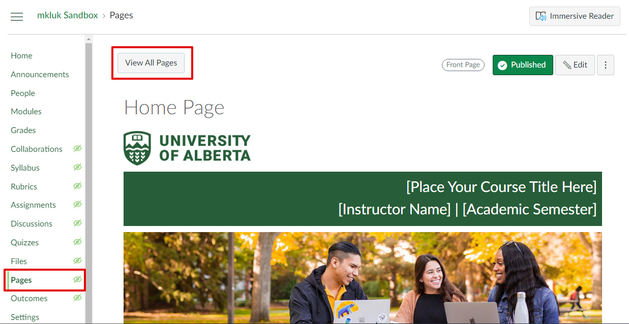 On a Canvas course, the Pages section is selected on the left-hand navigation menu. Above the Front Page, there is button that says View All Pages, which is highlighted. 