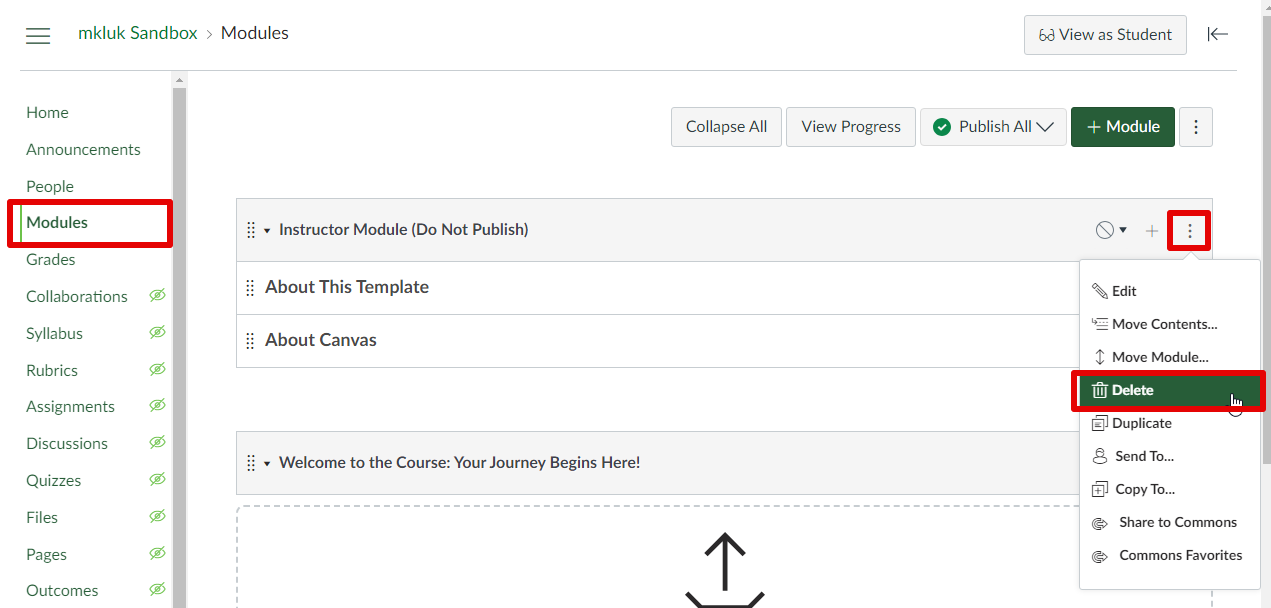 The Modules section is chosen in the left hand navigation menu. To the right of the first module, the menu icon is clicked and the Delete button is highlighted. 