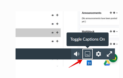 Captions toggle