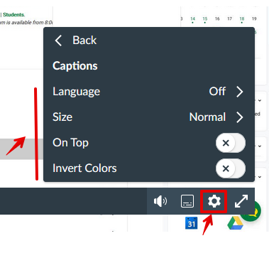 Captions view options