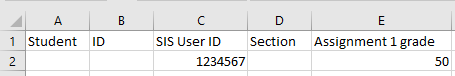 excel screenshot showing minimum info needed for grade import