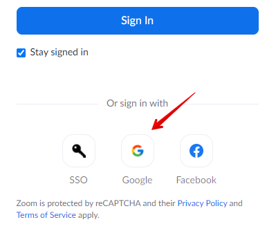 Signing in on the Zoom website with Google