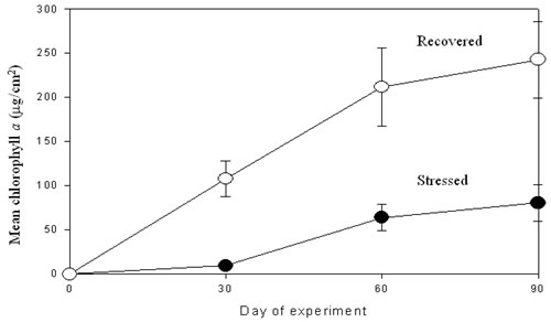 The development of periphyton, inferred through Chlorophyll