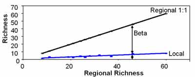 Local and Regional Species Richness