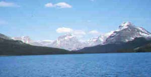 South View of Bow Lake, Alberta