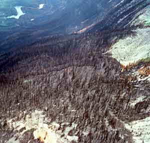 Moab Lake Fire 2000, Jasper National Park (Parks Canada)