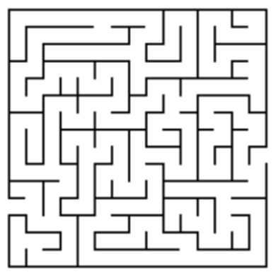 pic of maze