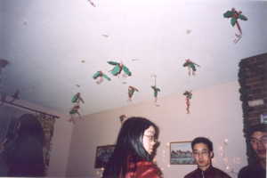 A holly filled ceiling